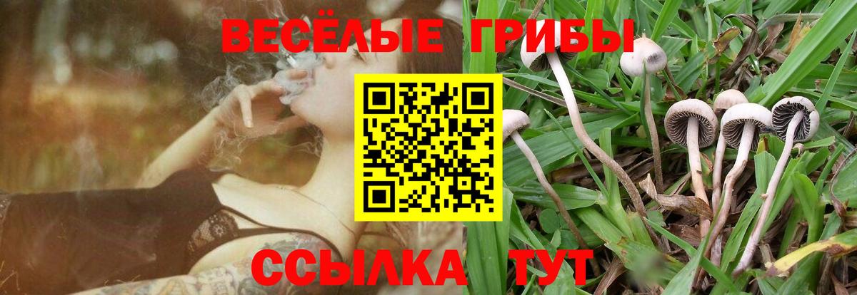закладка  Галлюциногенные грибы Cubensis  Вход с VPN  Ханты-Мансийск 